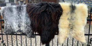 Schapenvachten  - Heidschnucke - leathersheepskin