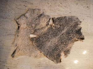 Schapenvachten  - Gotland - natural-sheepskin-carpet