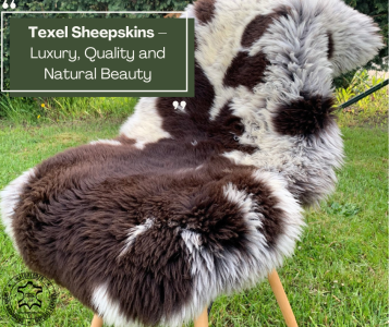 Schapenvachten  - Texel schapenvachten – Luxe, kwaliteit en natuurlijke schoonheid